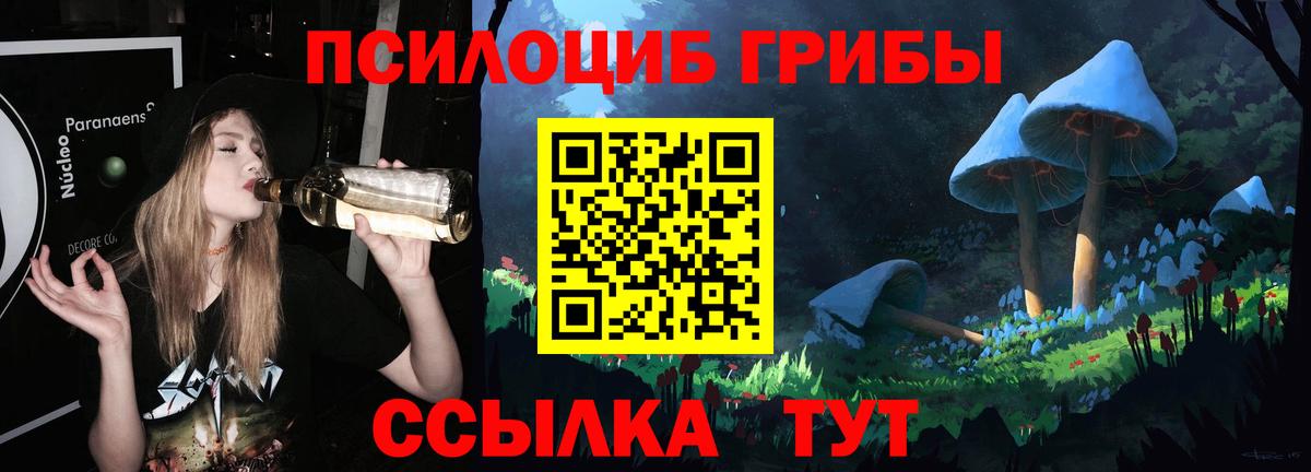 Вышний Волочёк  Галлюциногенные грибы Magic Shrooms  Вход с VPN 